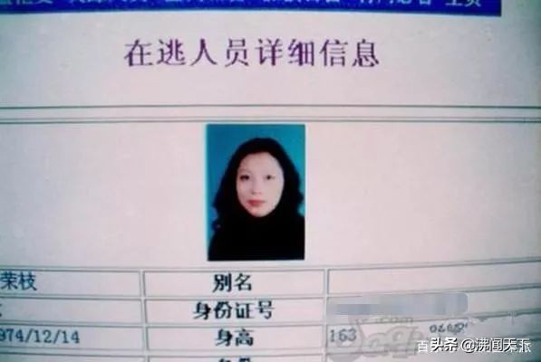 劳荣枝事件抓捕,劳荣枝合肥抓捕视频