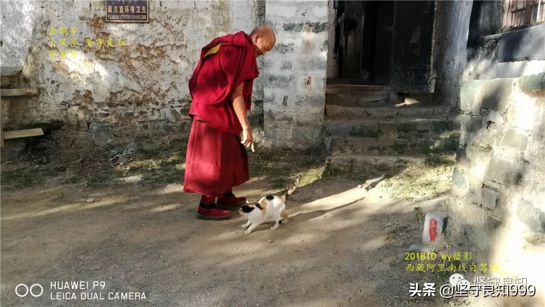 阿里大环线西藏圆梦之旅,西藏阿里南线7天详细攻略