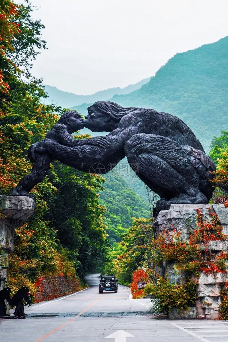 湖北深秋自驾游景点推荐,秋色彩林川西自驾