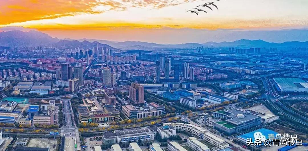 西海岸2024年房价预测,西海岸哪个区域房价最好