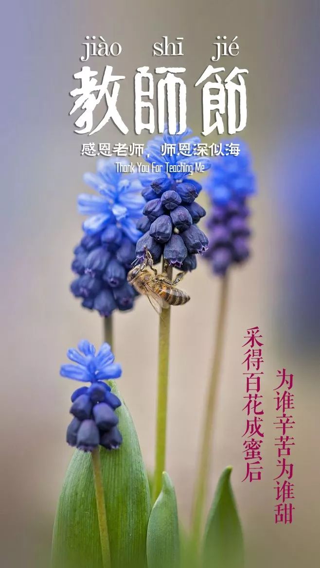 赞美老师的诗句古诗和名言,教师节献给老师的诗句