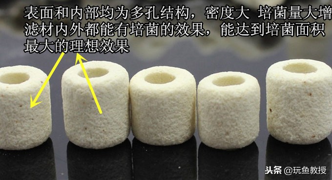 硝化细菌如何养殖,怎么样判断硝化细菌养好了