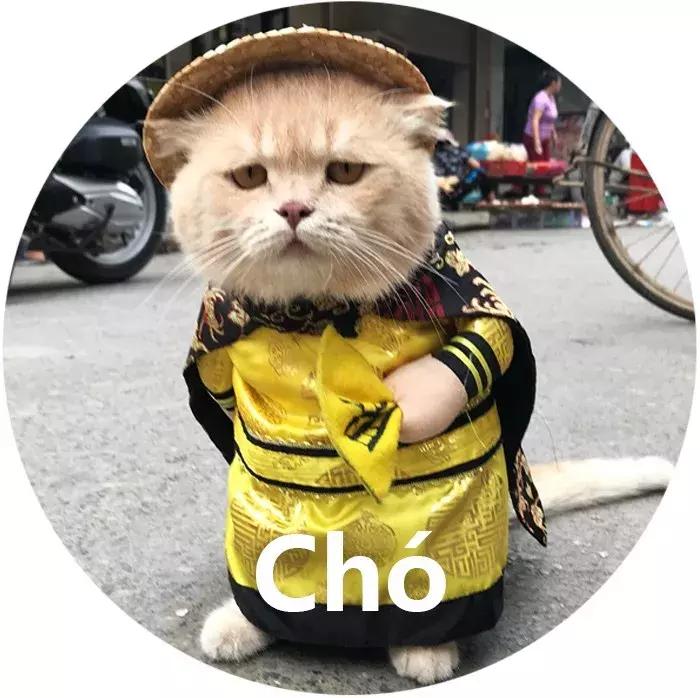 gucci和supreme联名马丁靴,guccisupreme鞋子