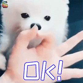 雅思7分相当于六级多少分的水平,雅思5分到6.5需要多少节课