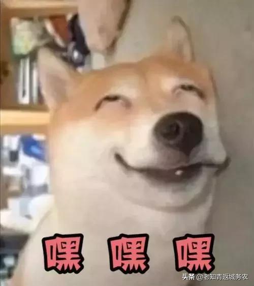 被黑又洗白的明星,没有一点黑历史的明星