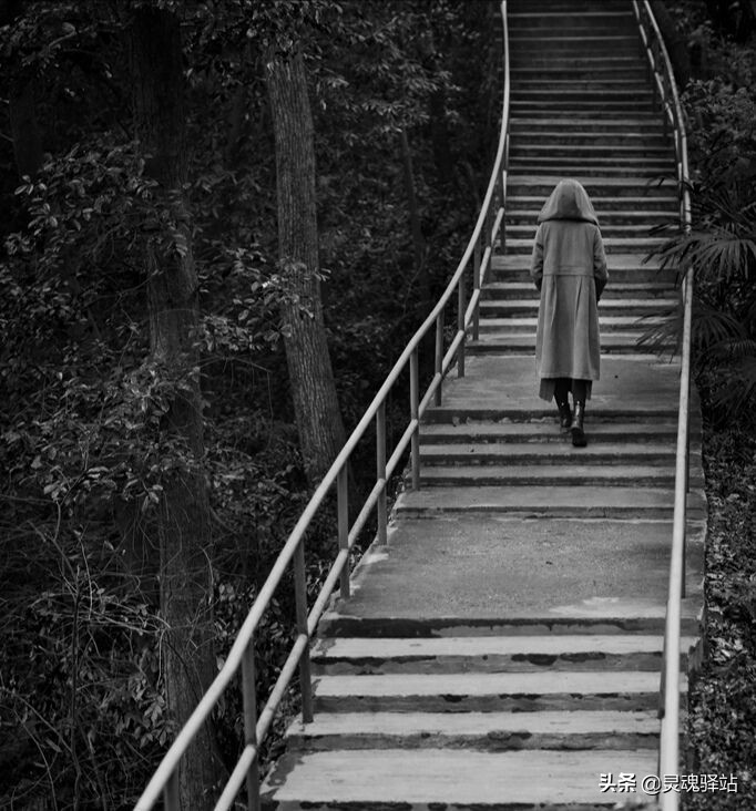 《孤独之心电影院》——一个打开封闭心灵，解除坚硬铠甲的地方