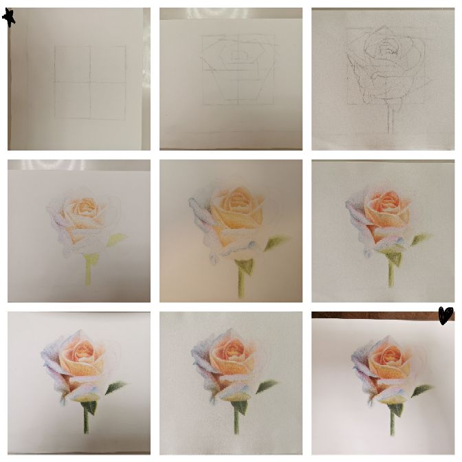 黄玫瑰的花语是纪念逝去的爱情,黄玫瑰的花语是遗憾