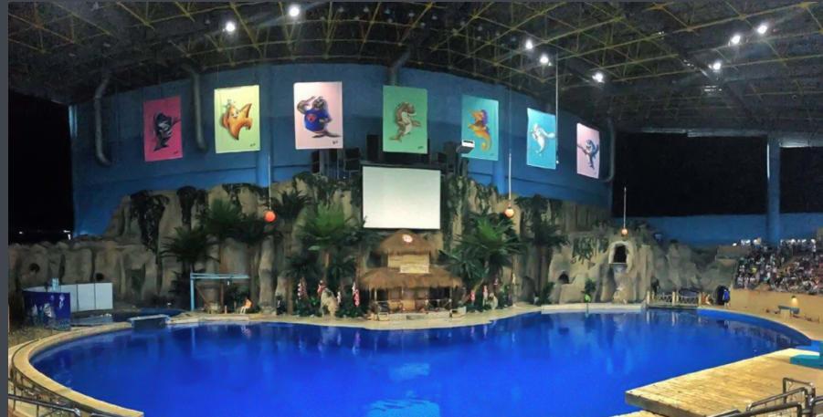 太原海洋大世界赶海公园,太原海洋公园游玩攻略