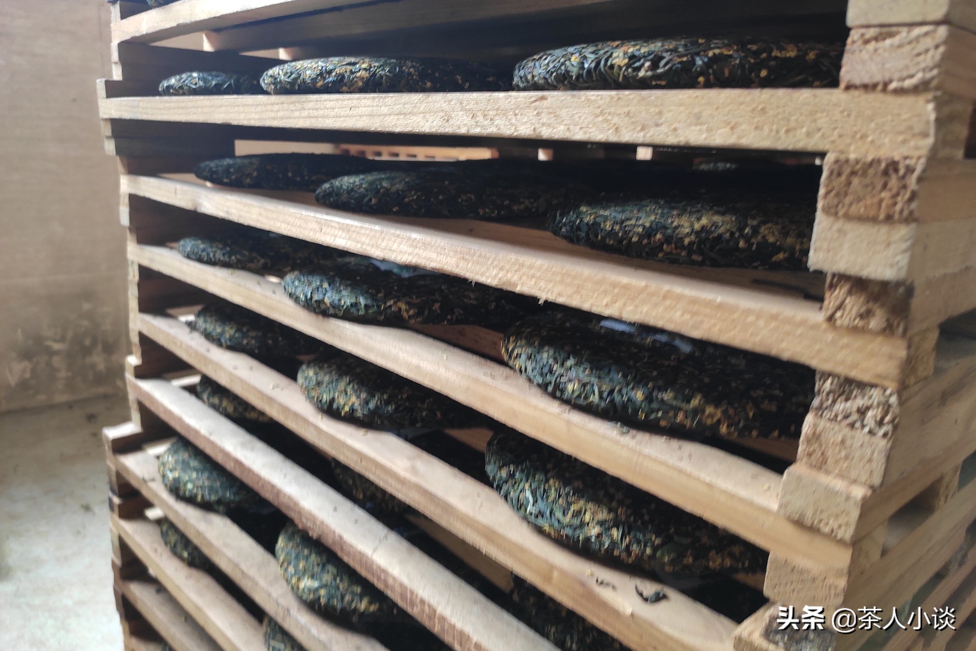 茶行业暴利吗,茶生意少为什么还能开店