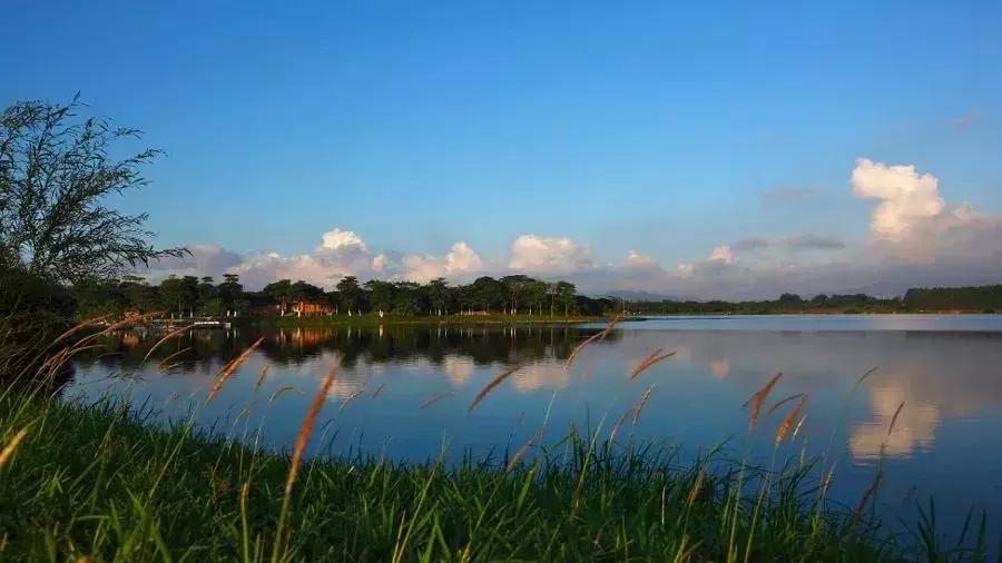 厦门观音山周边五星级酒店,观音山住宿推荐酒店