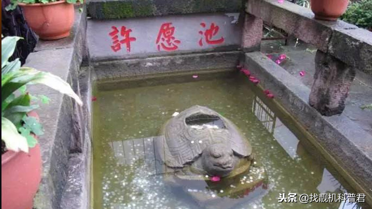 许愿池扔硬币的危害,许愿池丢进硬币表示什么