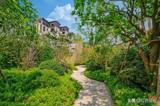 惊艳！湾里交通文旅大爆发，这个地方注定红