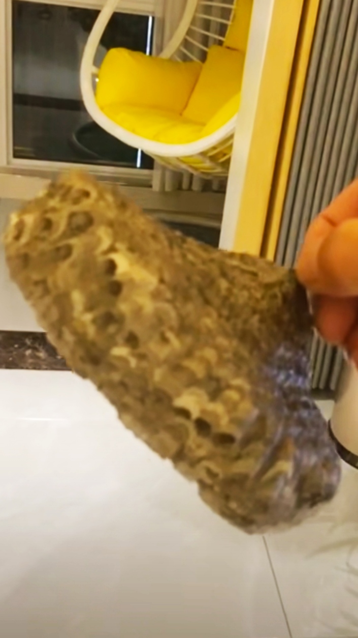 怎么去除马蜂蜜蜂窝,室内马蜂窝