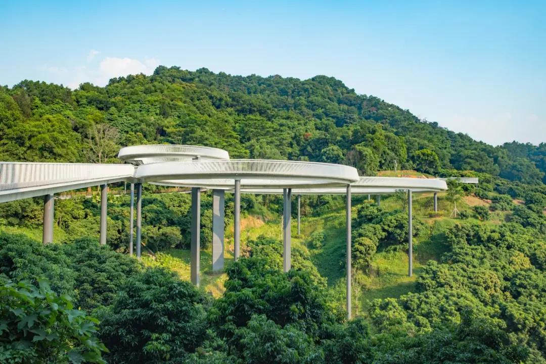 去深圳十大景点,到深圳必玩十大景区1天时间够吗