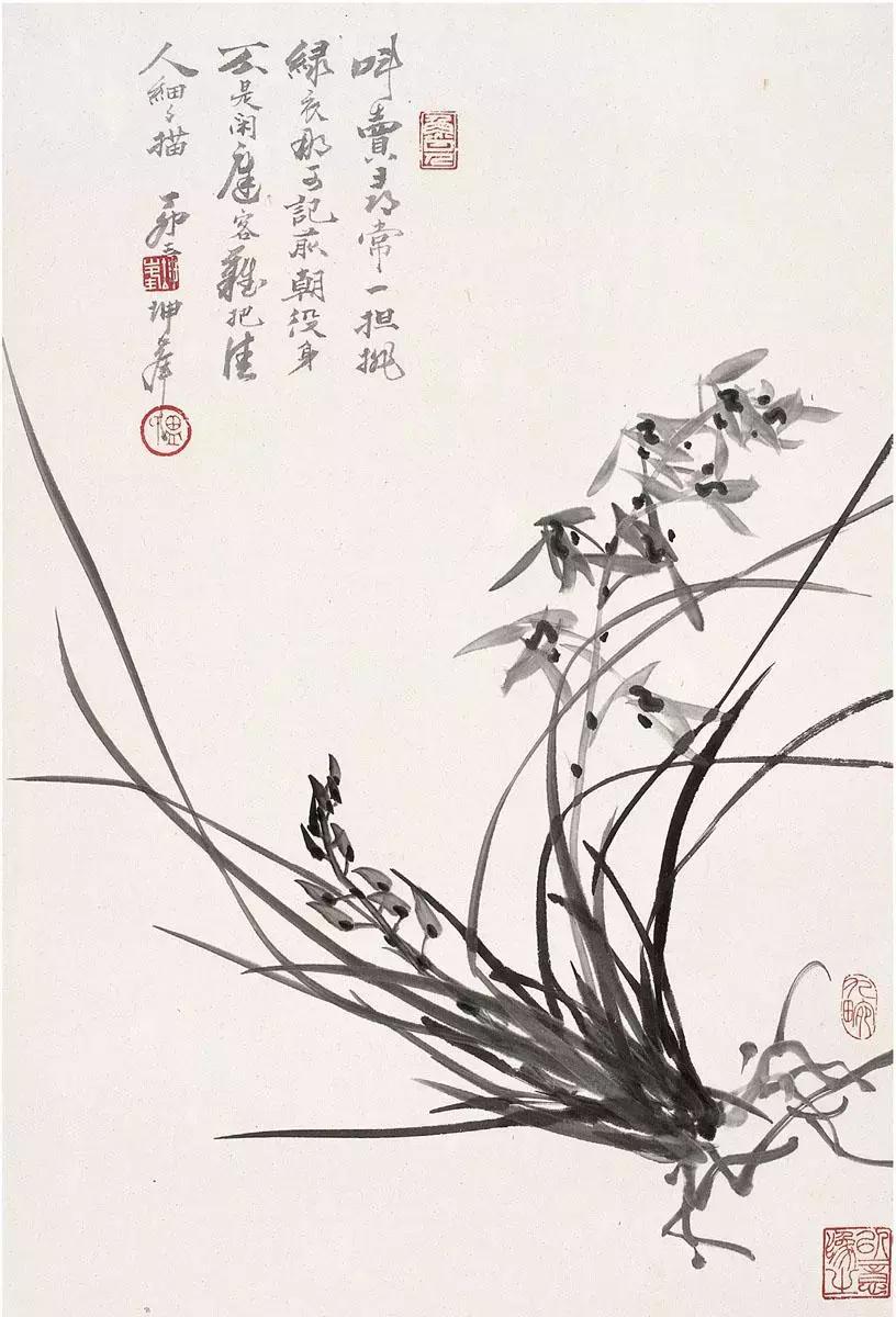 如何画兰花最好看的,君子兰花如何画