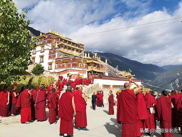 一将功成万骨枯吾将往矣,一将功成万骨枯说唱版