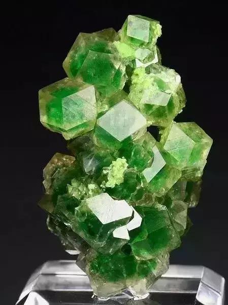 世界上令自己眸生情,见到后再也不爱别人的51个丽人