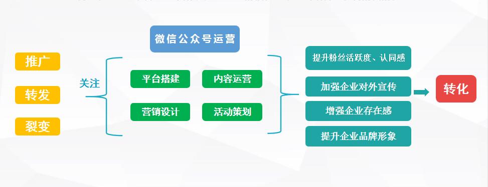 跨境货代推荐,跨境货代新手入门教程