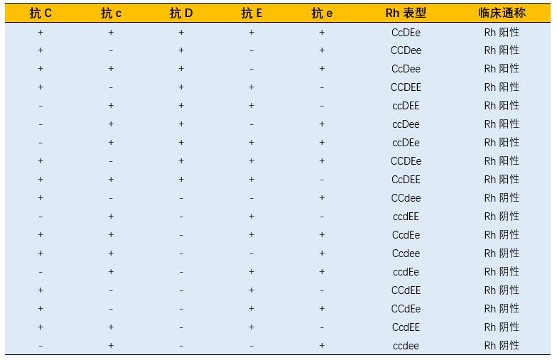 怎样检测自己是阴性还是阳性血型,血型报告单显示阳性4+