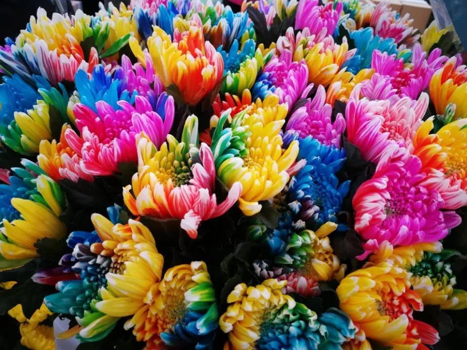 开远是哪个地方,开远市离边境多远