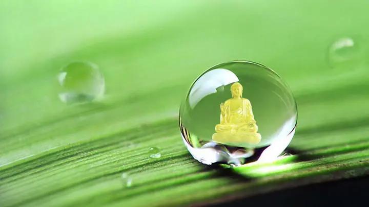 富氢水杯贵的好还是便宜的好,富氢水杯怎么去辨别