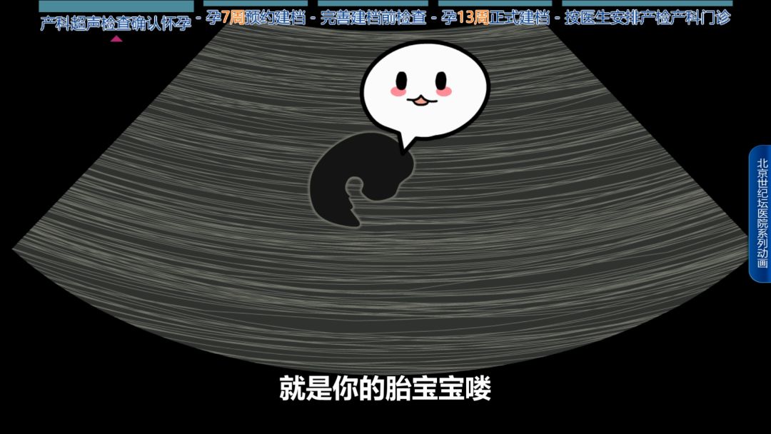 科普怀孕过程纪录片,科普动画怀孕