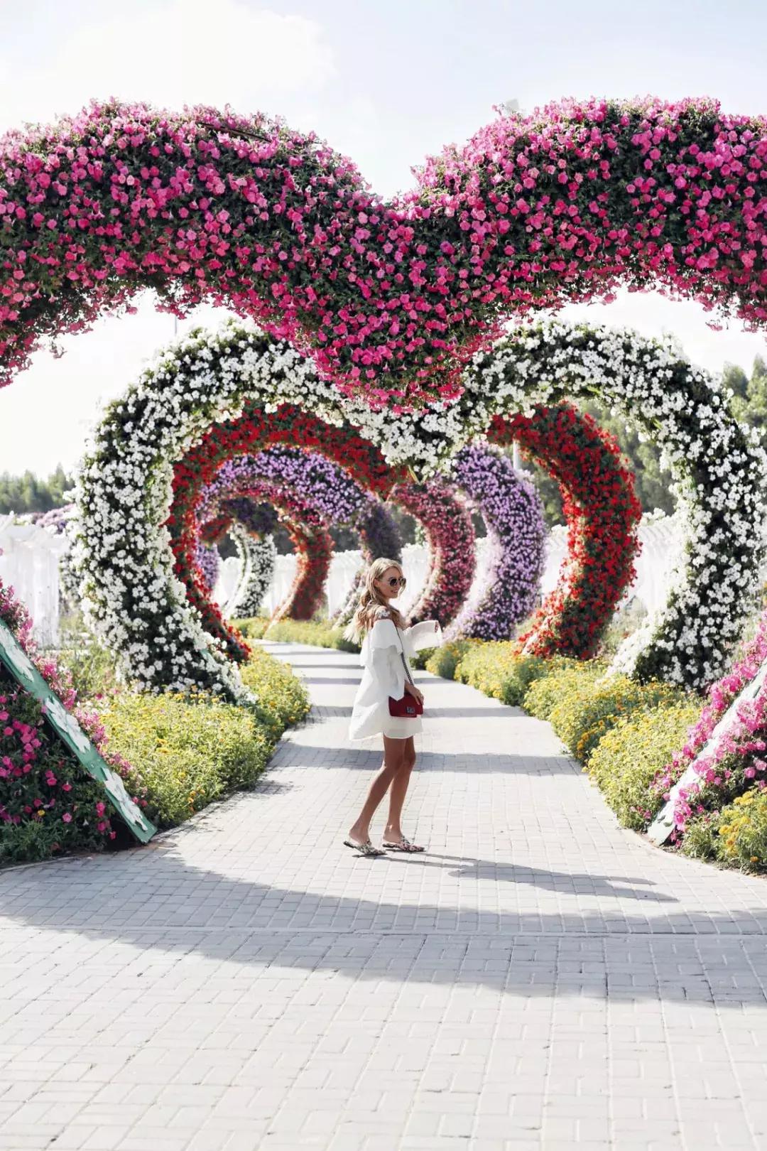 靠捡垃圾成了千亿富翁完整版,捡垃圾变成百万富翁