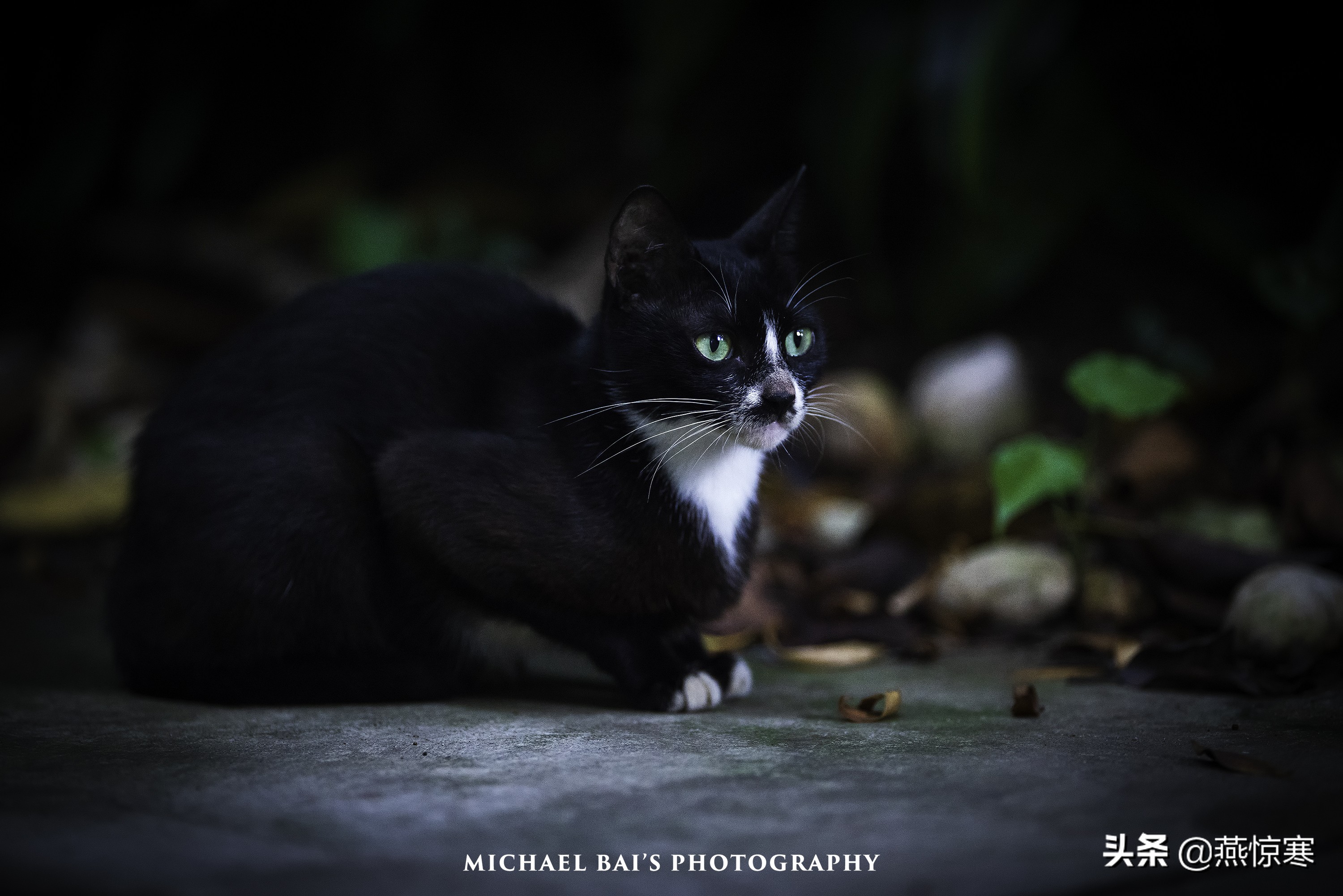 索尼除了24105还有哪些经典镜头,索尼40-2.5镜头评测