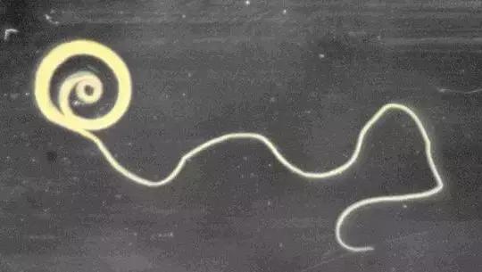 医学证明：翔不仅能吃，还可以治病