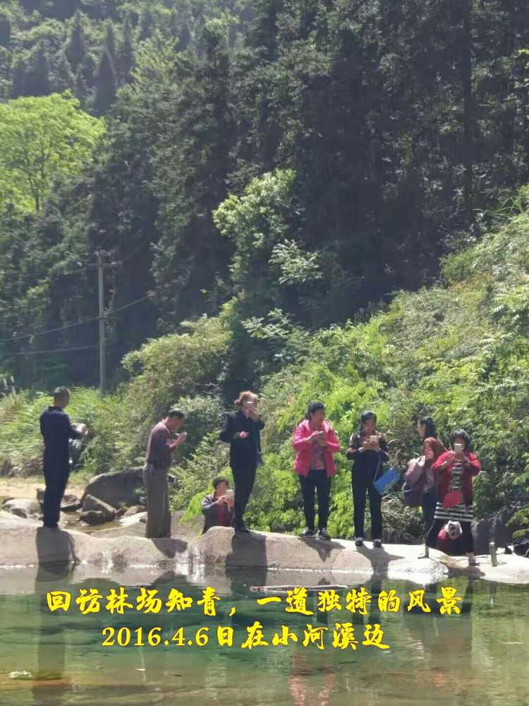 知青情结图片素材,60年代的知青情结