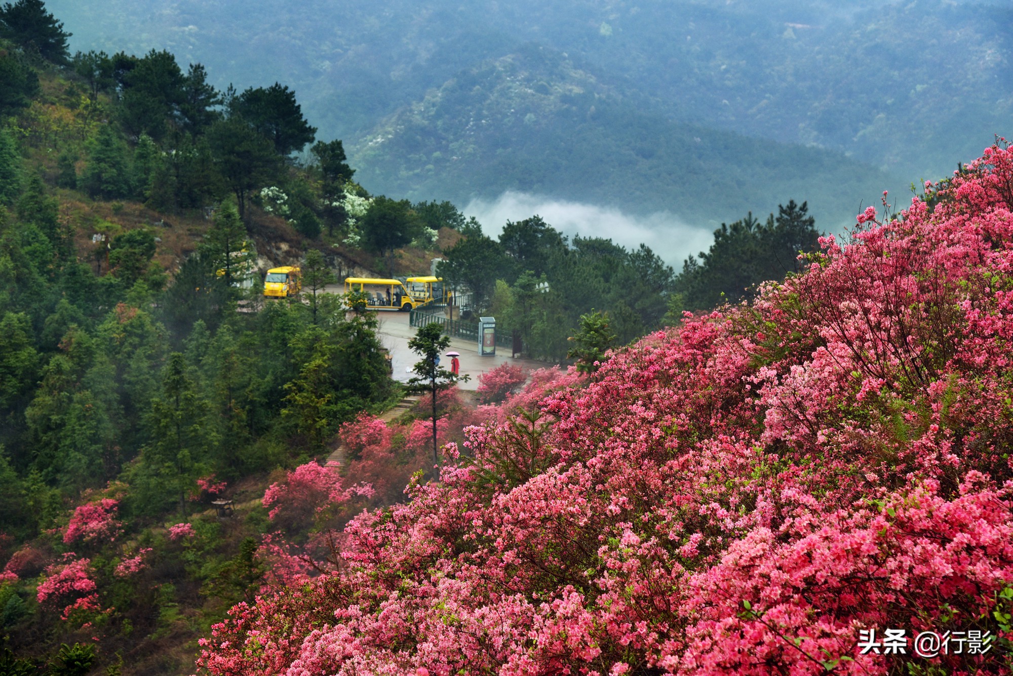 云雾山武汉,武汉汉口北打卡网红景点