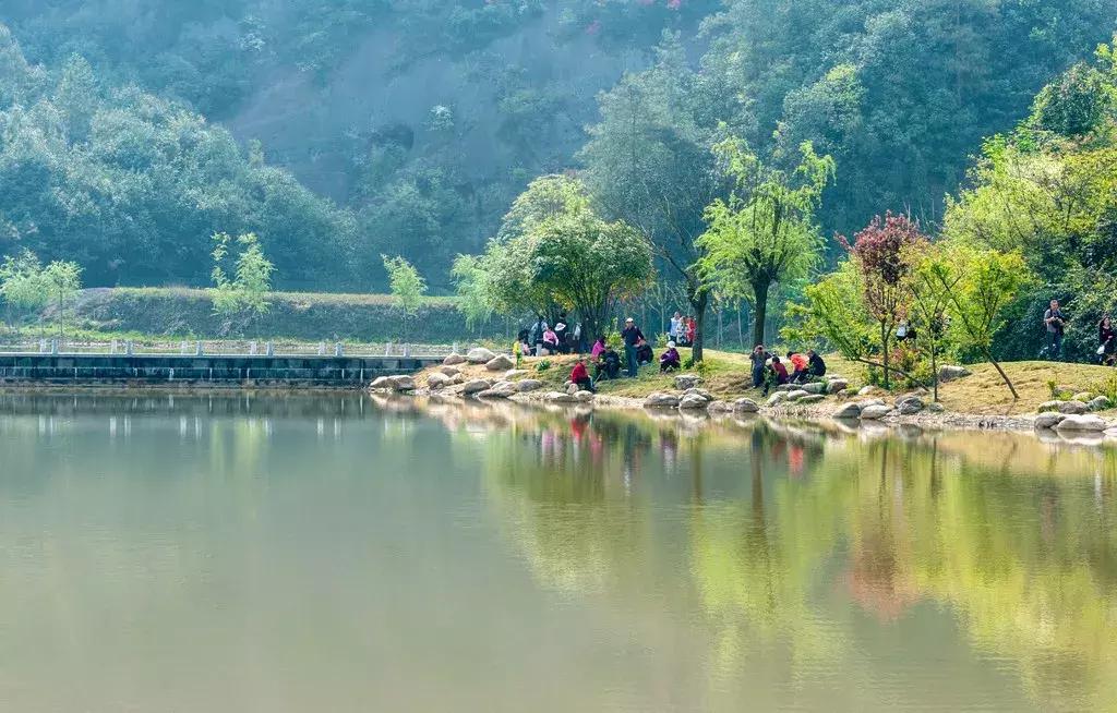 宜昌金家湾木屋酒店,远安金家湾木屋