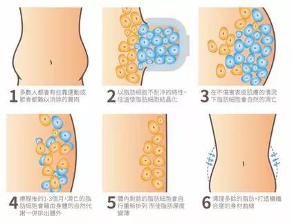 五花八门减肥,减肥的方法五花八门不知谁正确