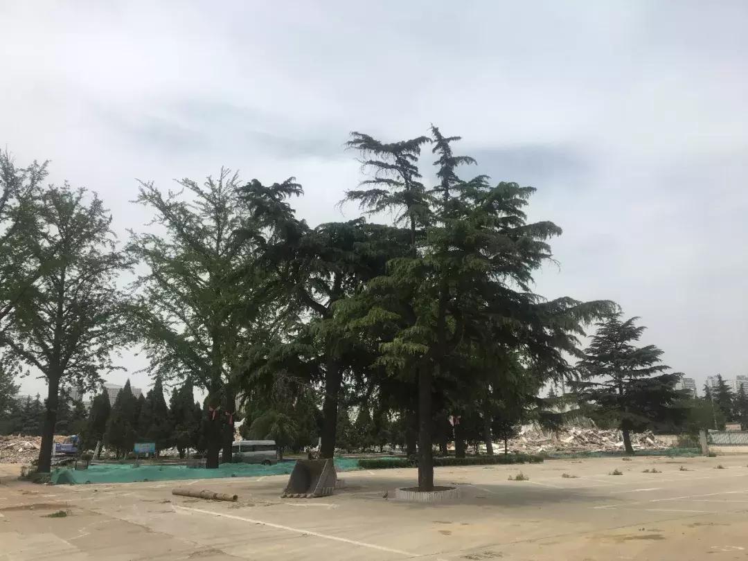 再见了，骨科医院！你好，临沂第十二中学！