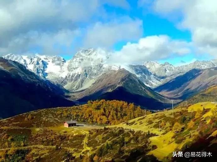 石斛分类小知识,石斛多少种哪一种比较好