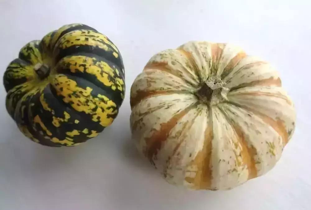 南瓜储物盒钩针教程,小南瓜卡子钩针教程