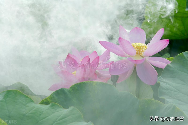 苏曼殊诗词11首,苏曼殊10首诗