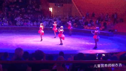 暑假带孩子内蒙古旅游攻略,暑期内蒙古亲子游鄂尔多斯