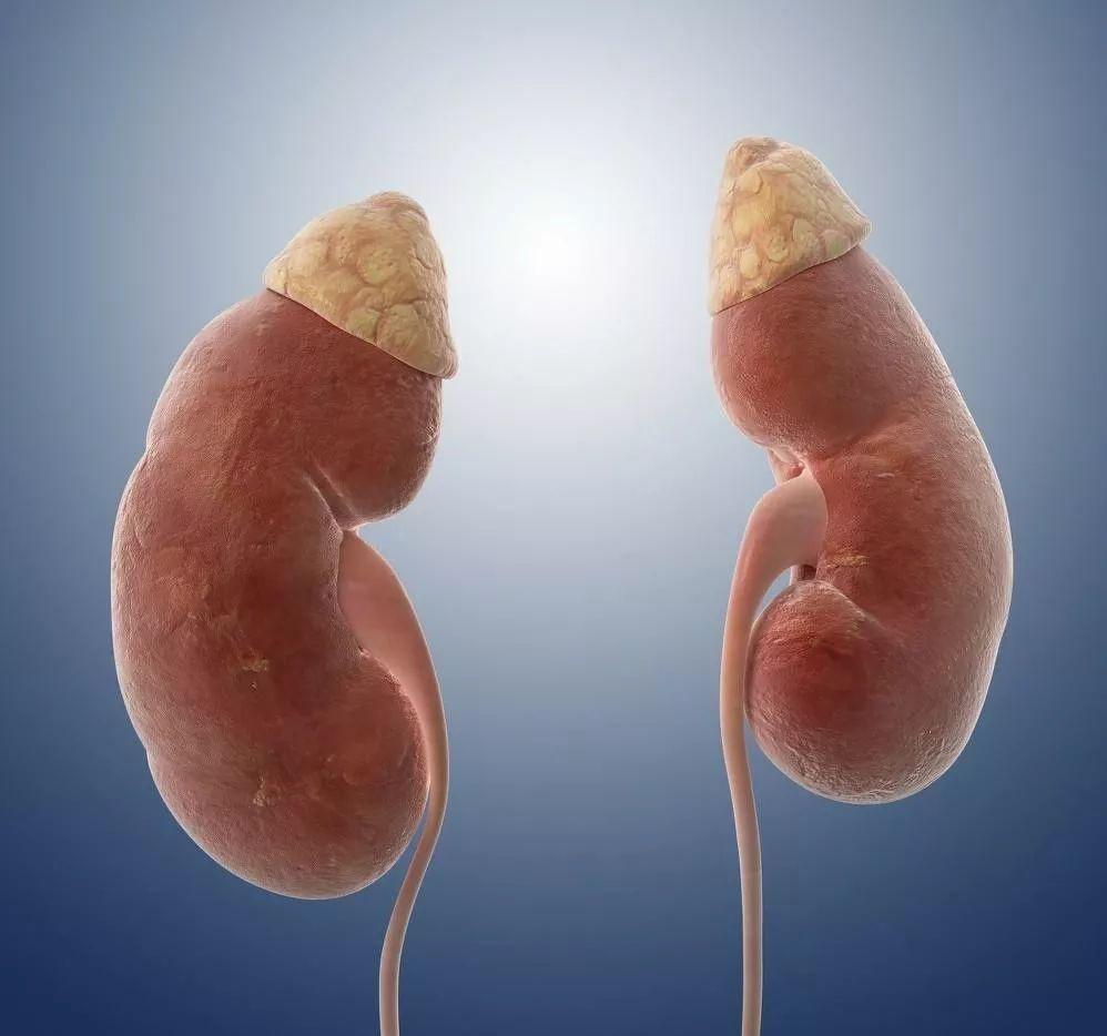 类固醇激素停药多久副作用会停止,类固醇的副作用月亮脸