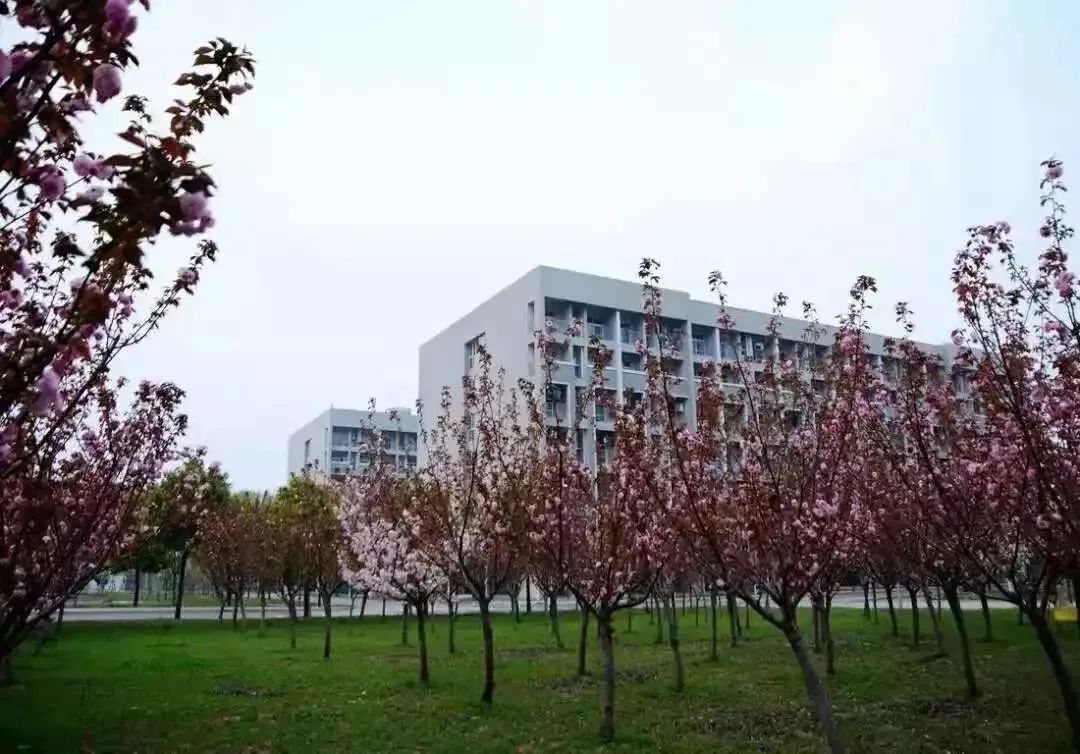 徐州生物工程职业学院2024年单招,徐州生物工程职业技术学院升本科