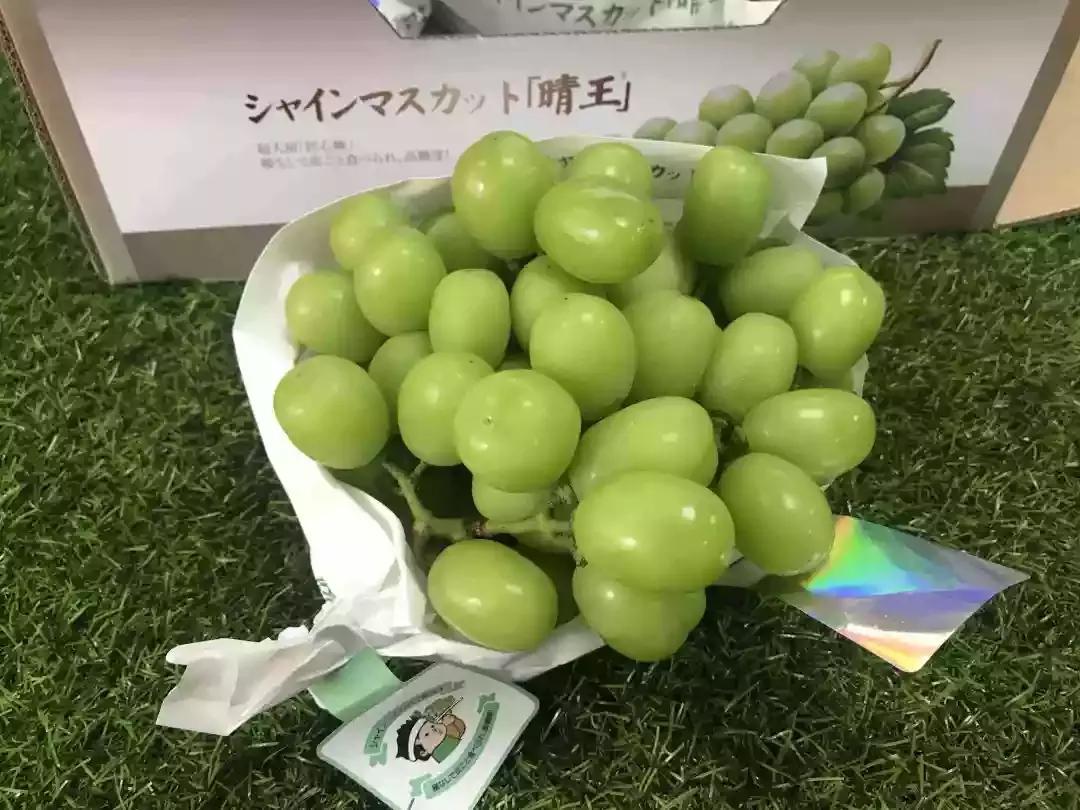 150元一斤阳光玫瑰葡萄,阳光玫瑰葡萄一斤大概有多少个