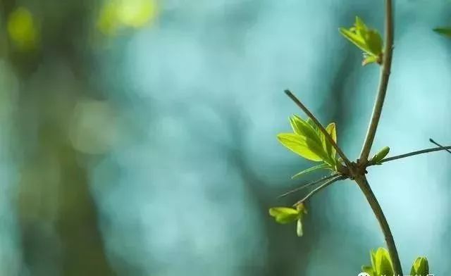 一位老板20年的感悟,商界大佬创业的血泪史从头再来