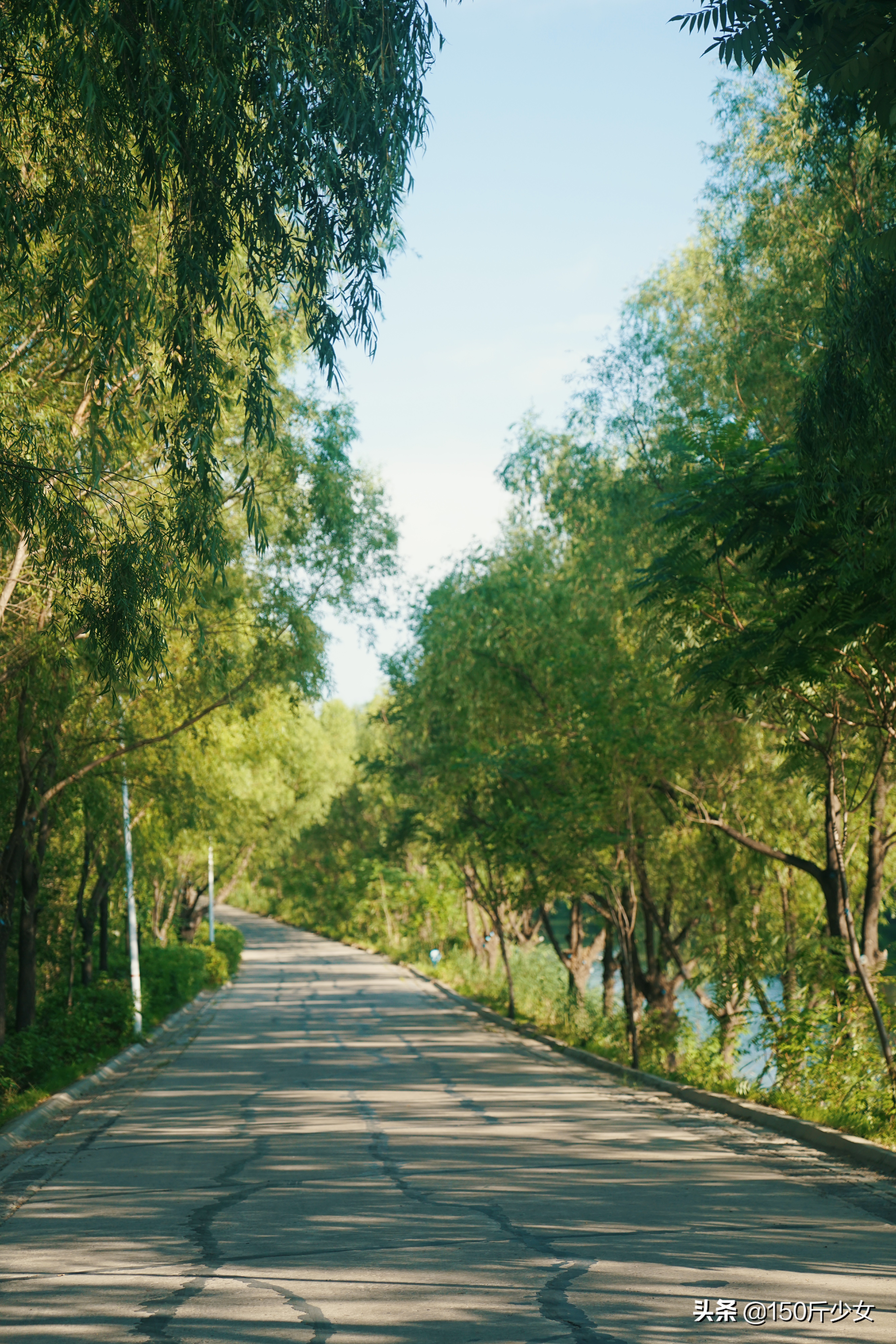 吉林旅游攻略自由行三天两晚住宿,吉林旅游自由行攻略图片大全
