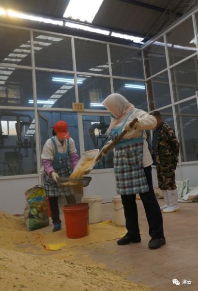 大包干和大锅饭,大锅饭合作社