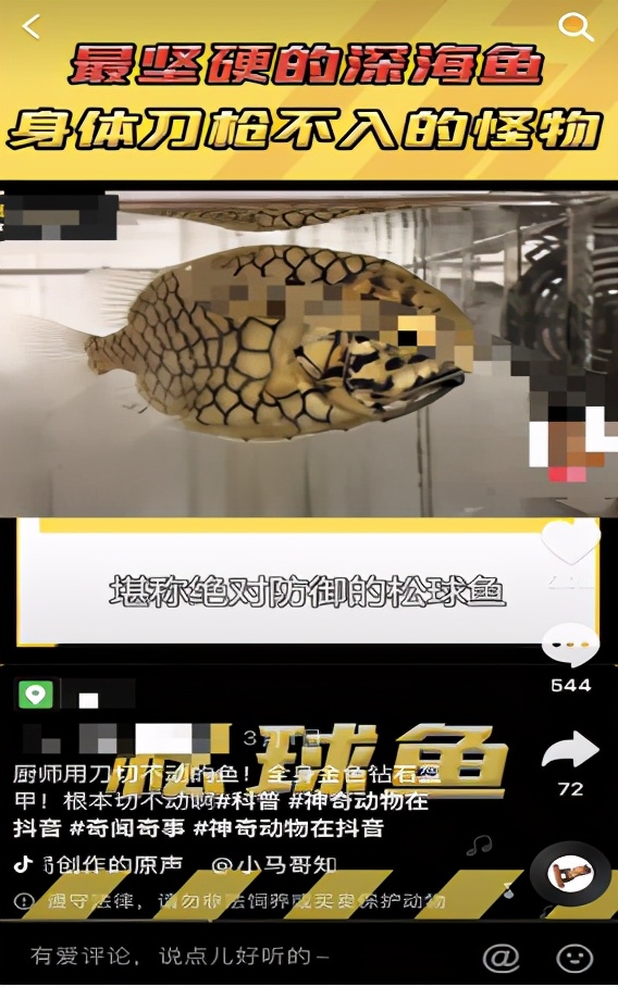 抖音加入打击网络野生动植物非法贸易全球互联网企业联盟