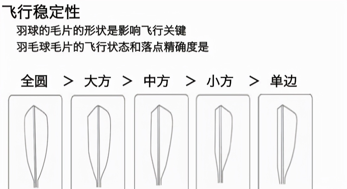 如何选择合适的羽毛球用球,如何选择正确的羽毛球