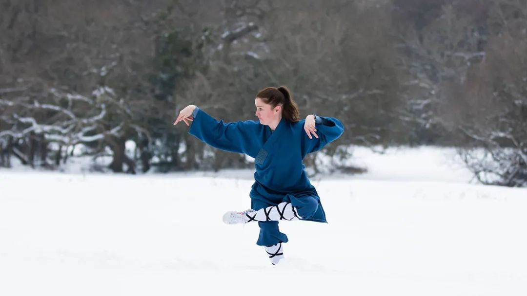 最强武术螳螂拳,中国传统武术拳法之螳螂拳