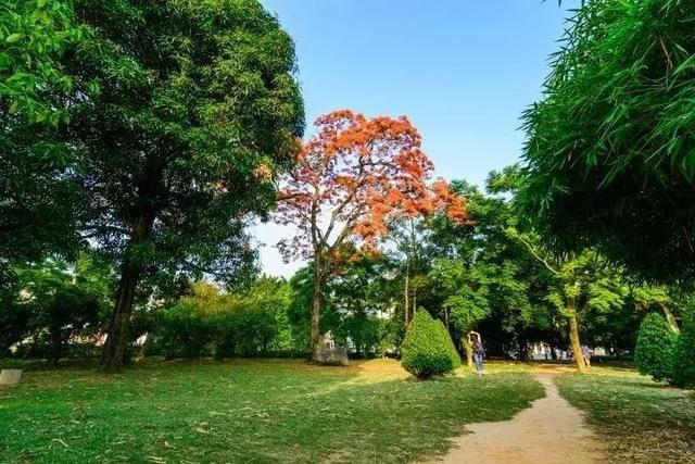 广西大学是广西唯一的211吗,广西大学211就业