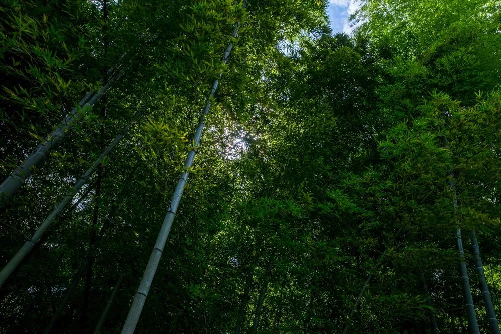 爬完所有雪山就释怀,爬完所有的名山