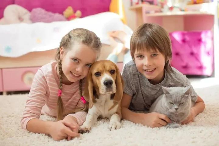 养猫有没有必要给猫咪洗澡,养猫多久可以给猫咪洗澡